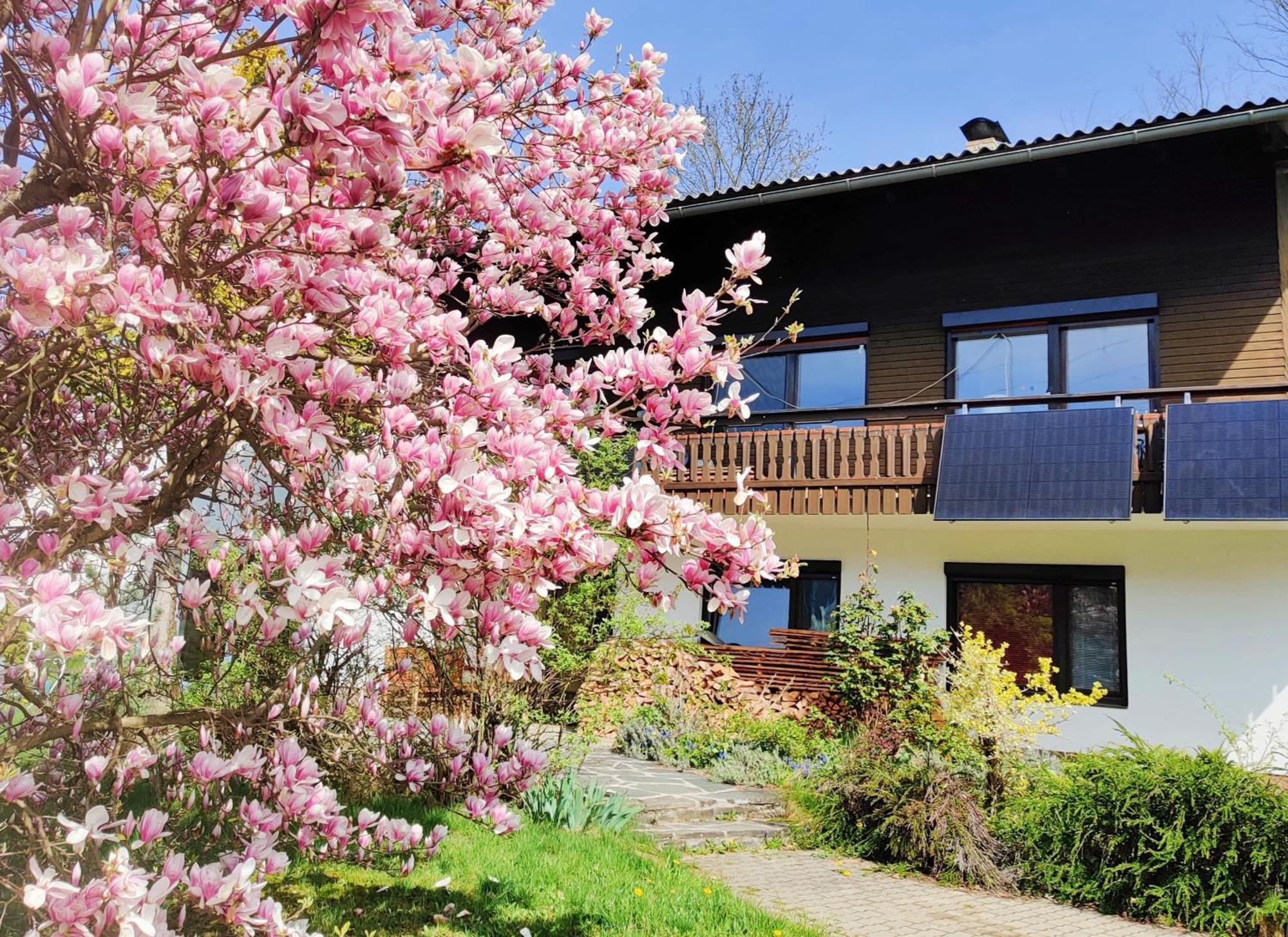 Wellness Apartment Keutschach Lakes Valley Keutschach am See Bagian luar foto