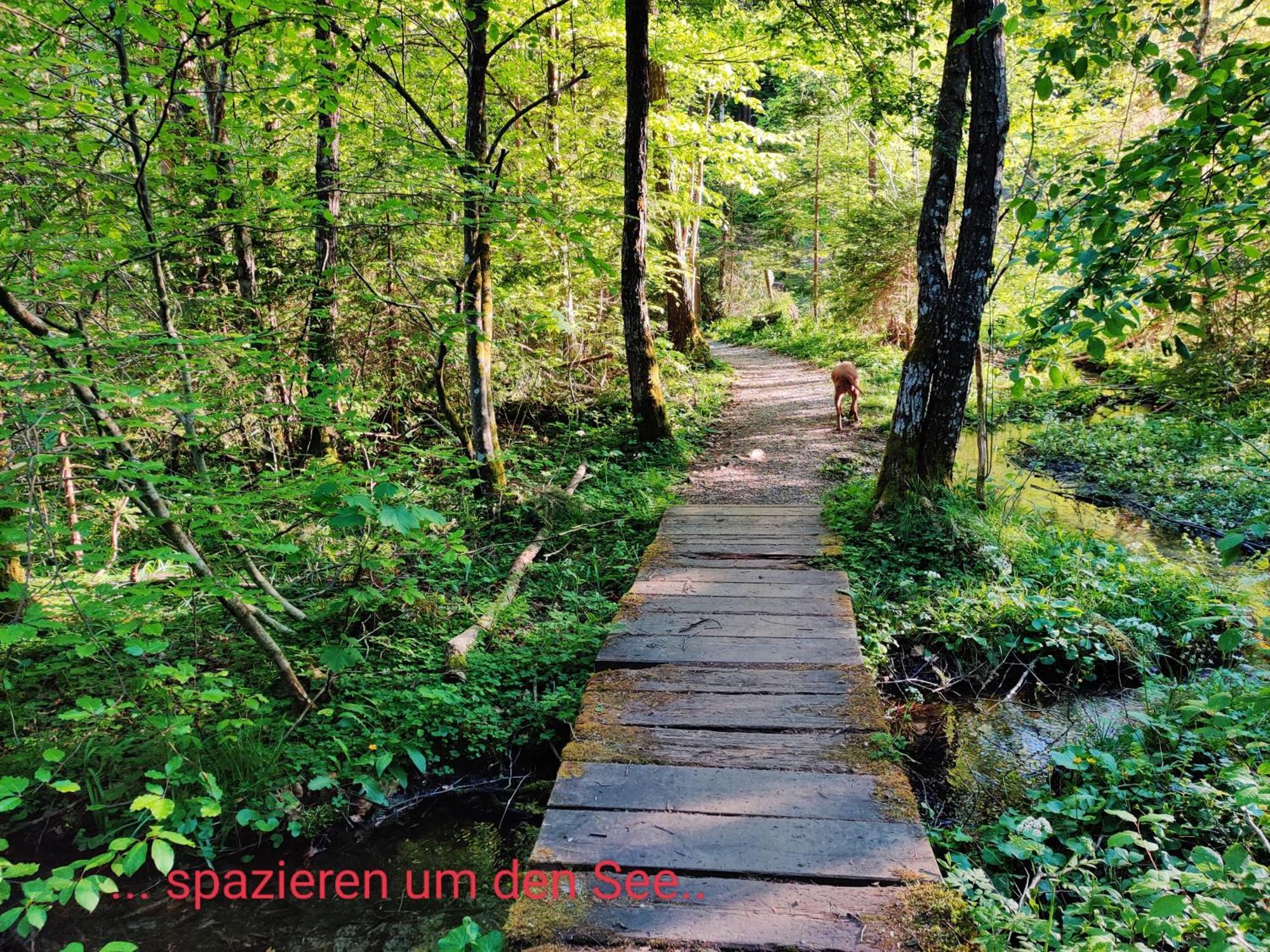 Wellness Apartment Keutschach Lakes Valley Keutschach am See Bagian luar foto